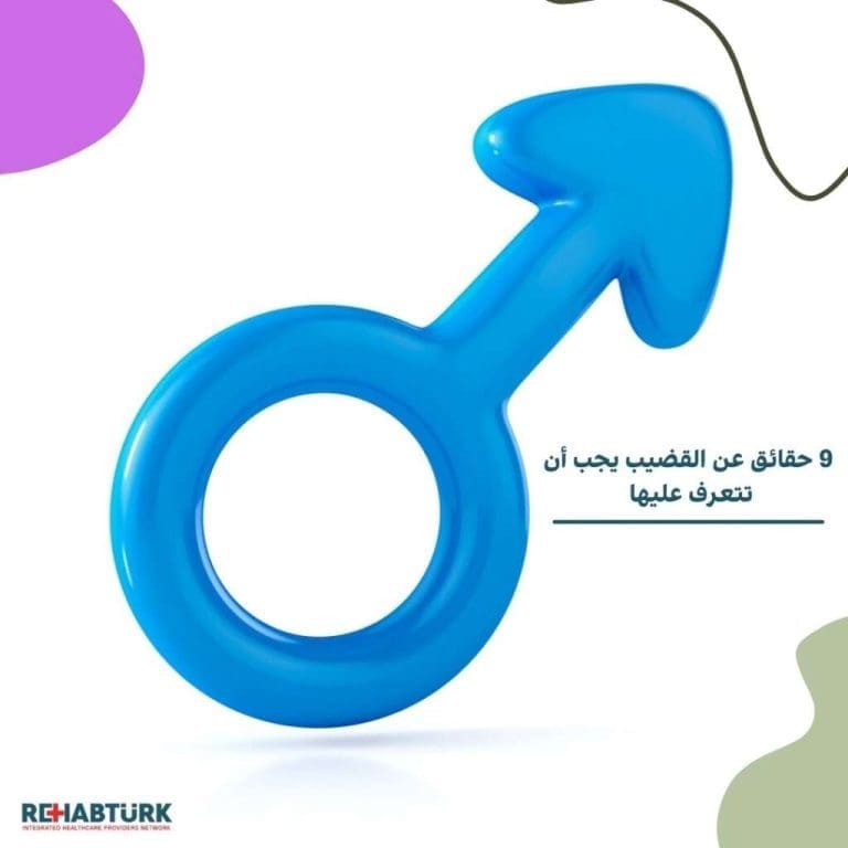 9 حقائق عن القضيب يجب أن تتعرف عليها حقائق عن القضيب 9 حقائق عن القضيب يجب أن تتعرف عليها