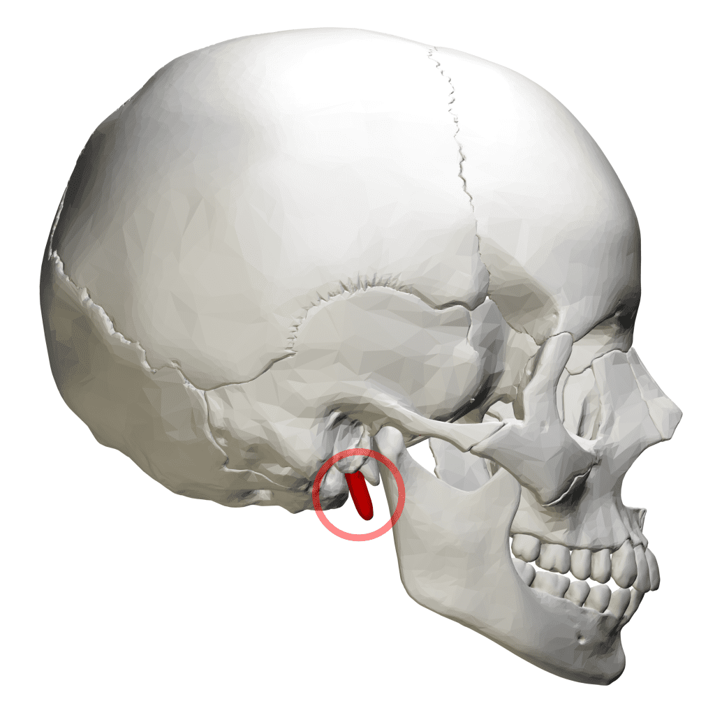 ما هو متلازمة النسر Styloidectomy