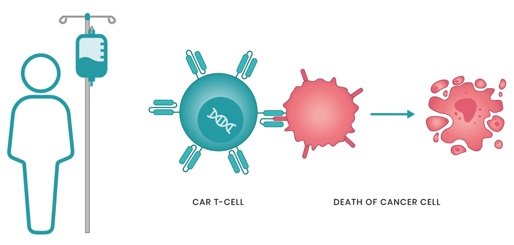 العلاج الخلوي التكيفي: CAR-T-Cell لعلاج السرطان 2022